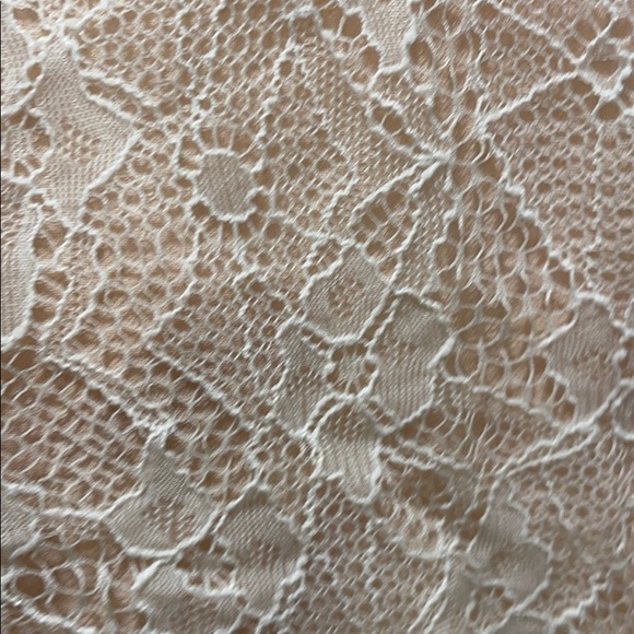 Mink Pink Lace Tank Top - Picture 3 of 5